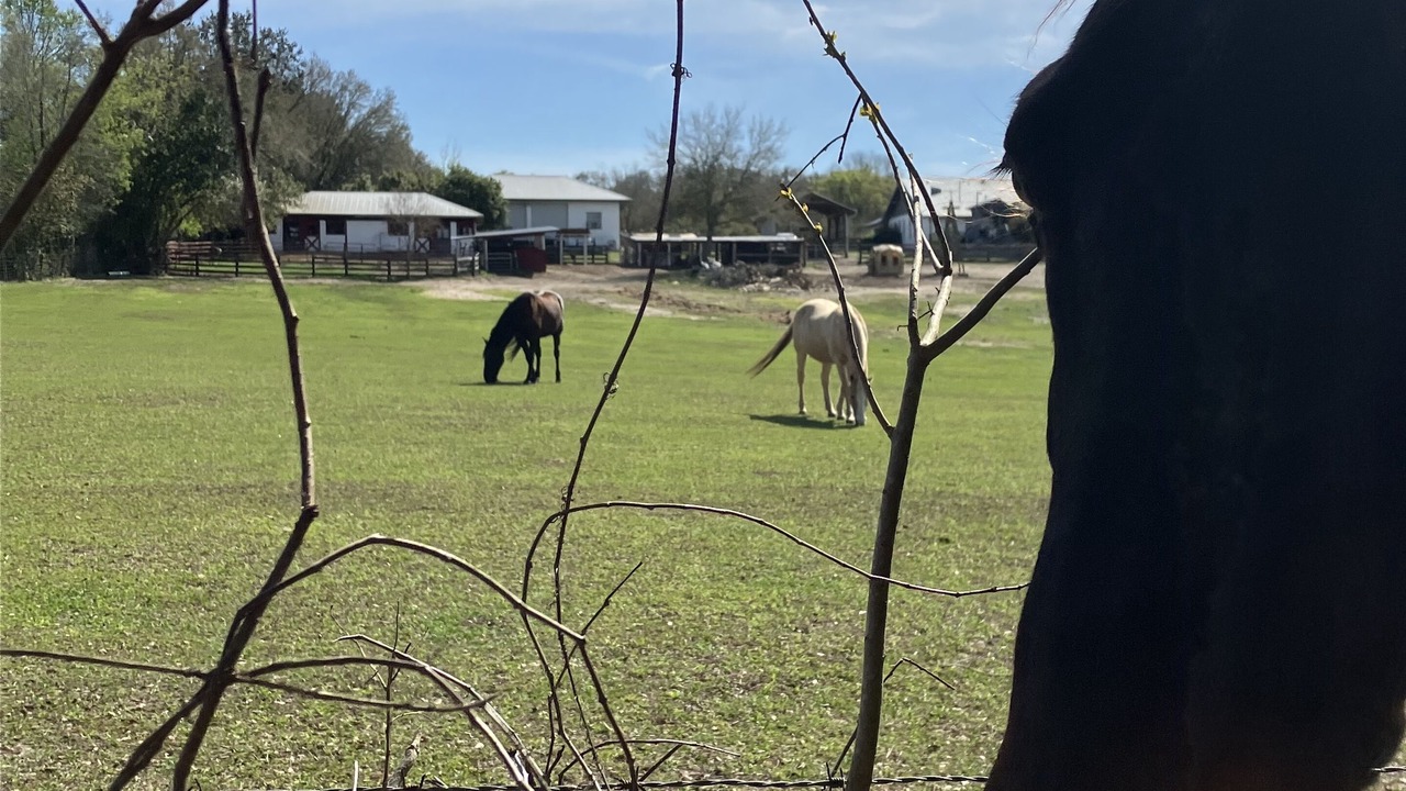 Photo of Others in Pine Ridge