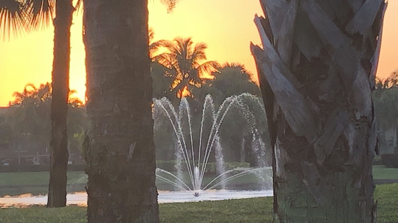 Photo of Outdoor in Delray Beach