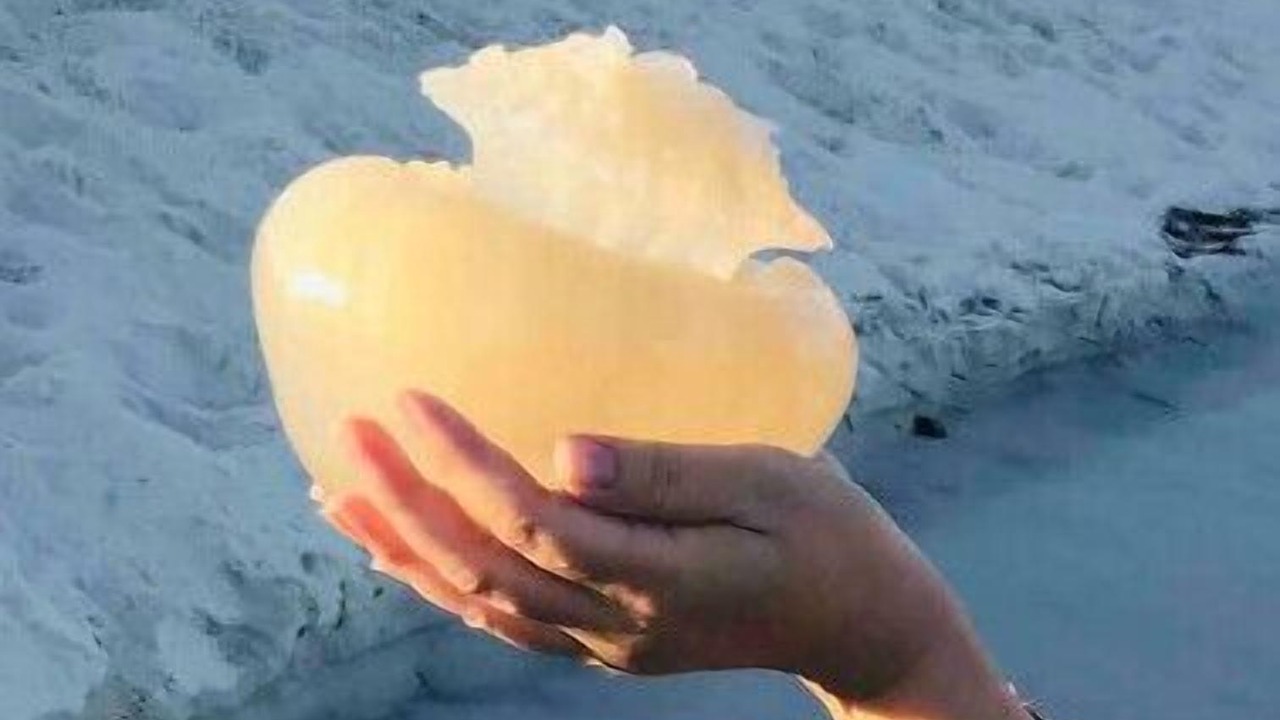 Photo of Others in Panama City Beach