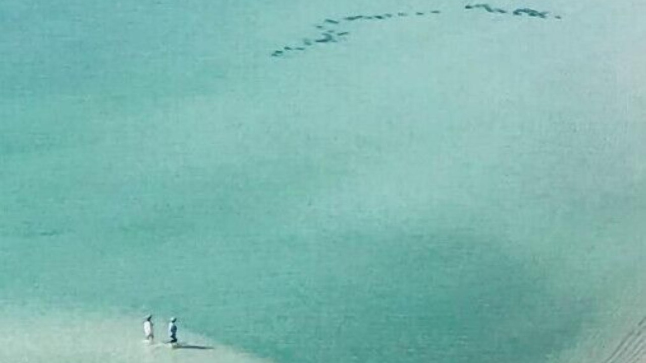 Photo of Others in Panama City Beach