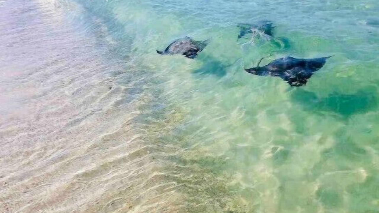 Photo of Others in Panama City Beach