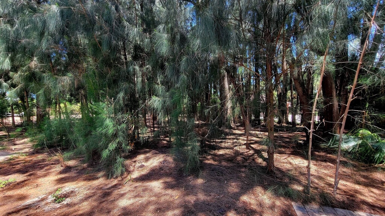 Photo of Others in Seminole