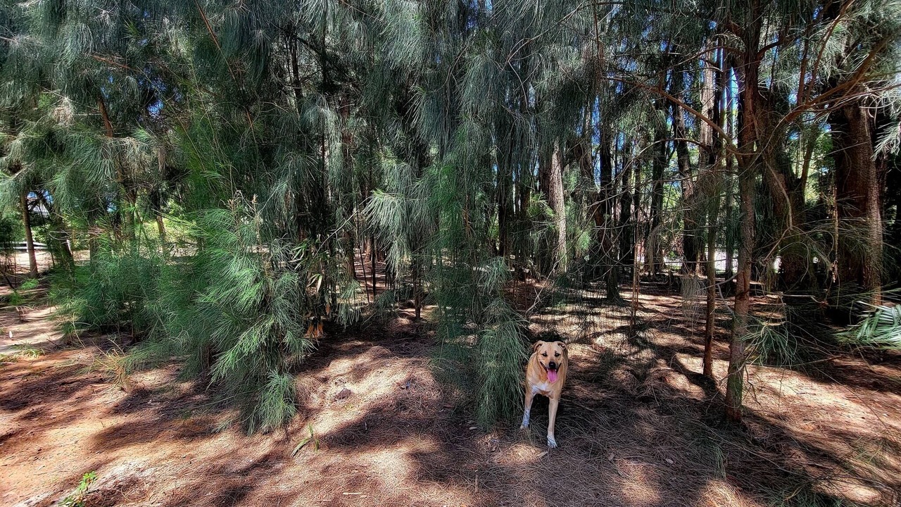 Photo of Others in Seminole