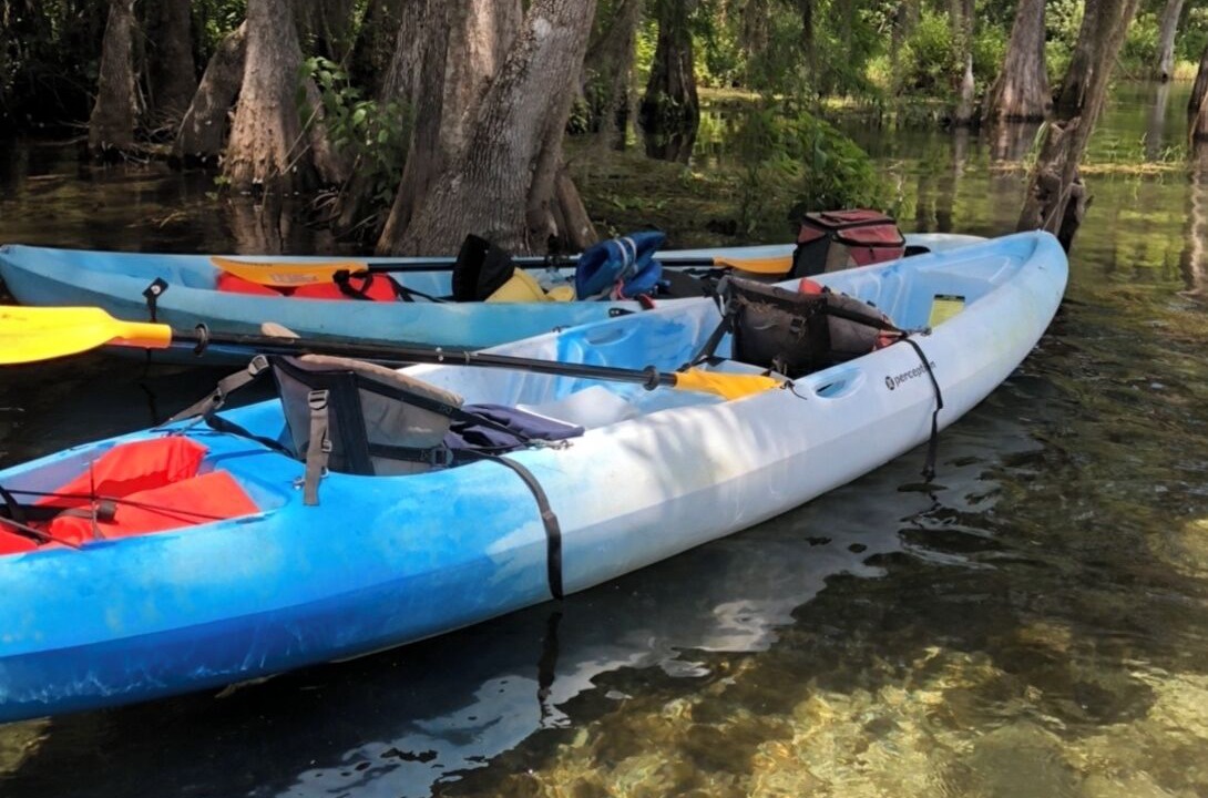 Photo of Others in Citrus Springs