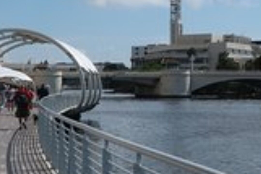 Photo of Others in Tampa