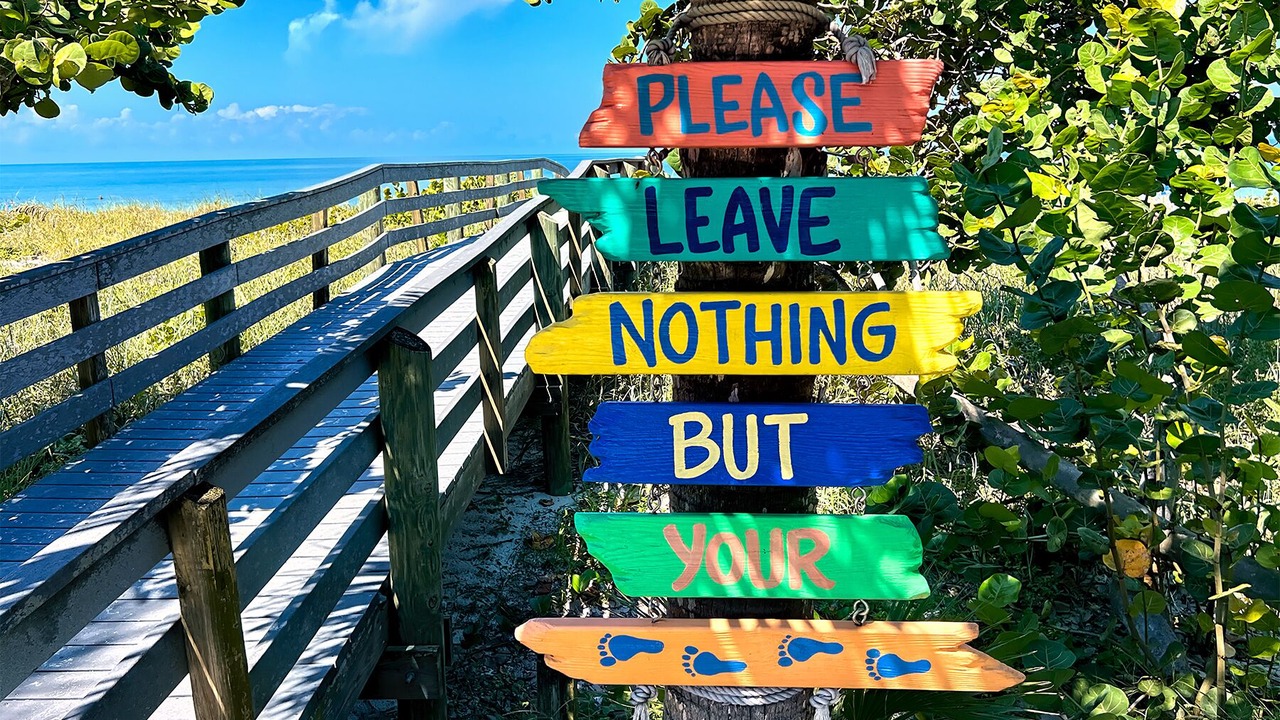 Photo of Others in Indian Rocks Beach