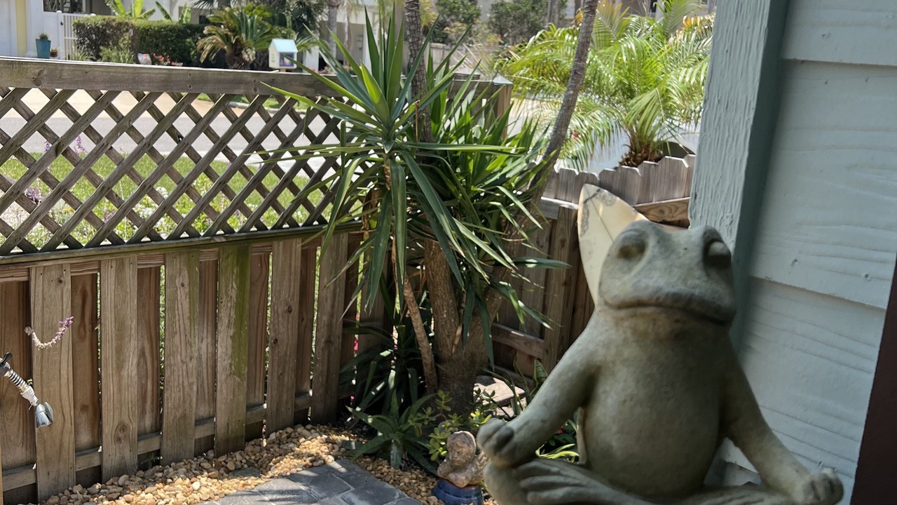 Photo of Outdoor in Jacksonville Beach