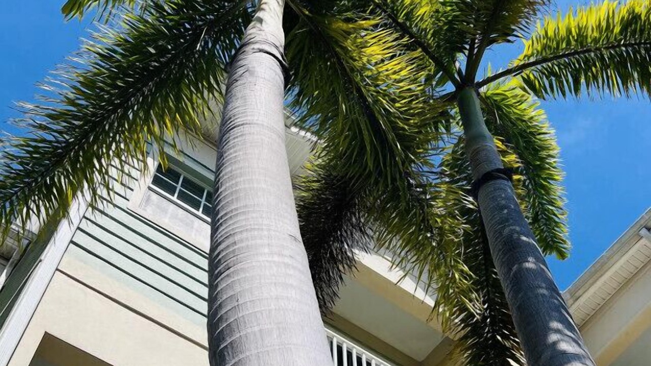 Photo of Outdoor in Ruskin