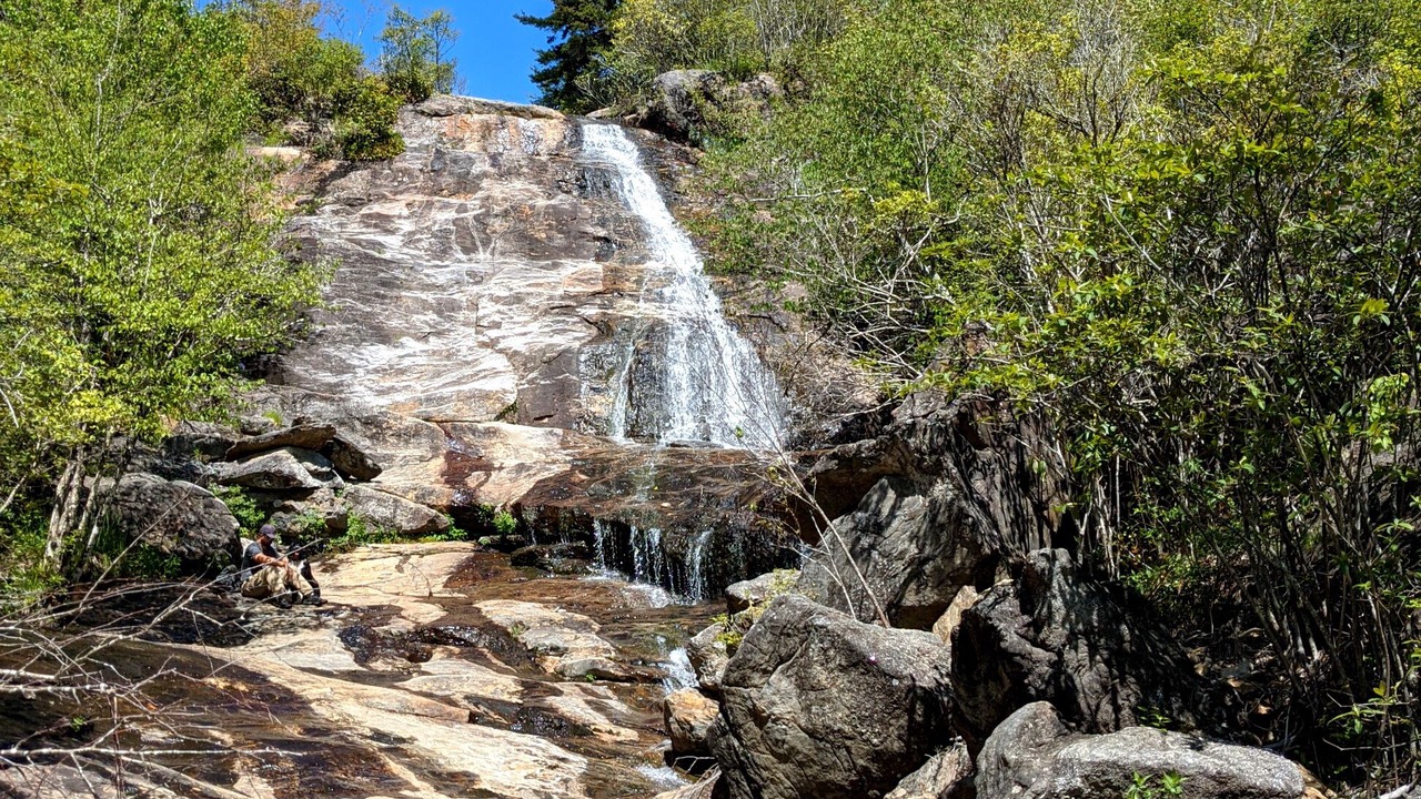 Photo of Others in Sylva