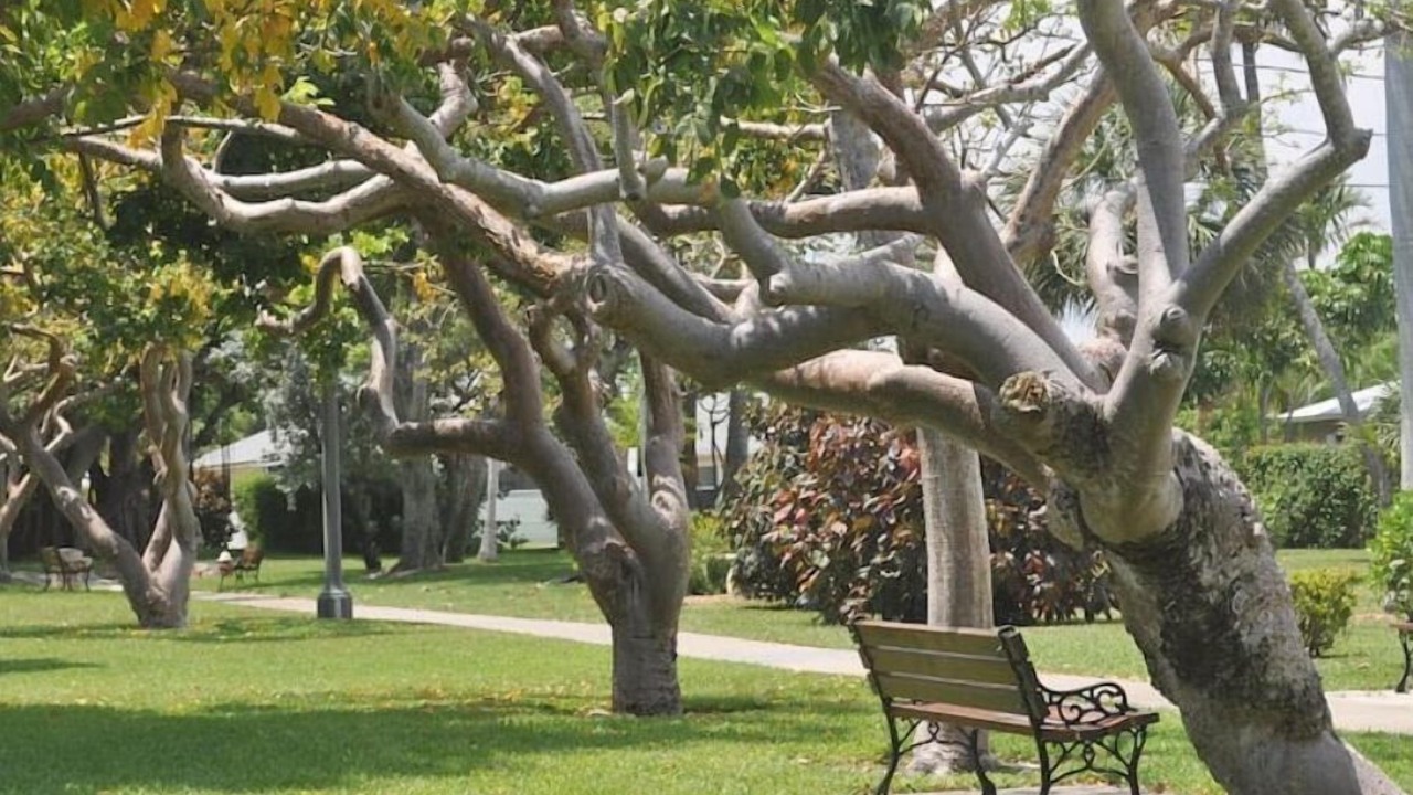 Photo of Outdoor in Singer Island
