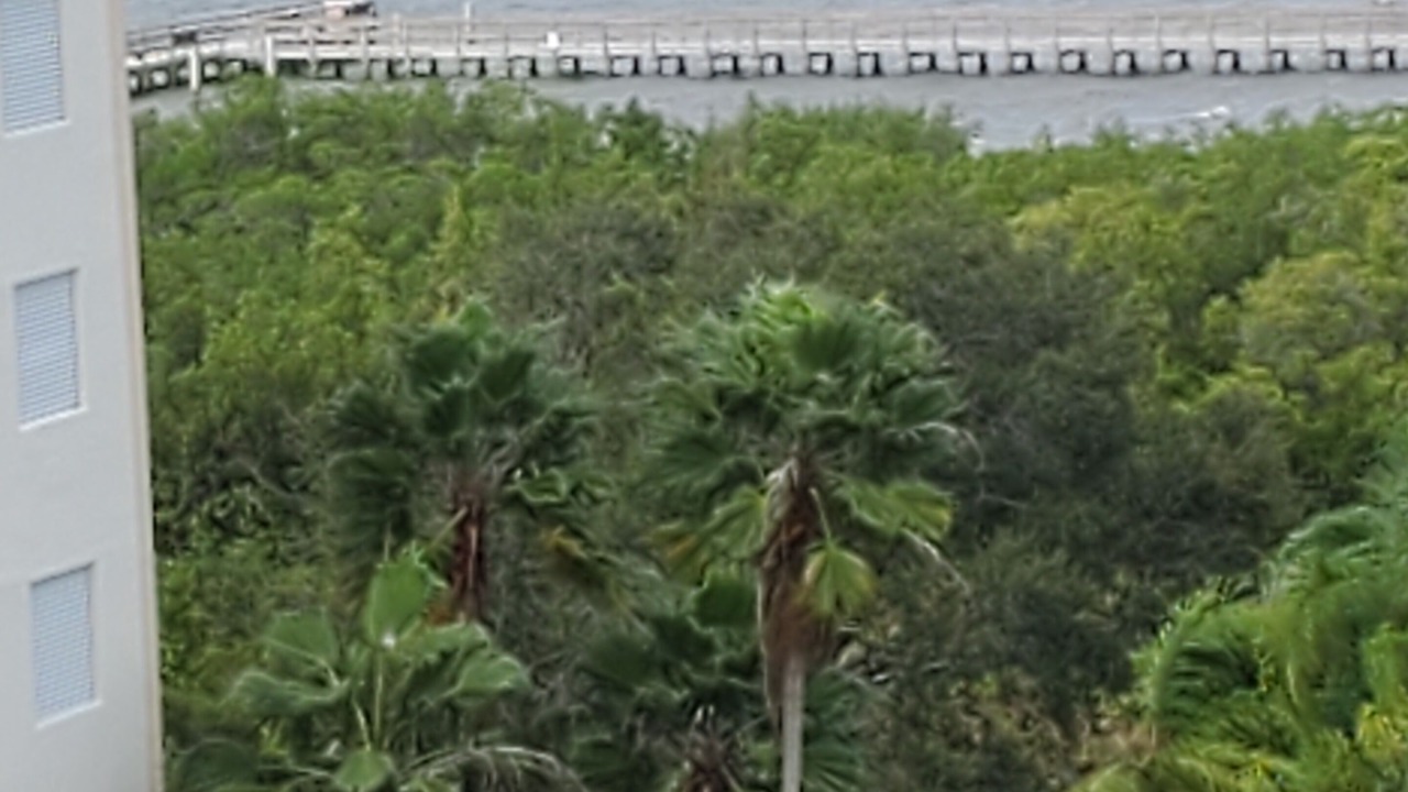 Photo of Outdoor in Palmetto