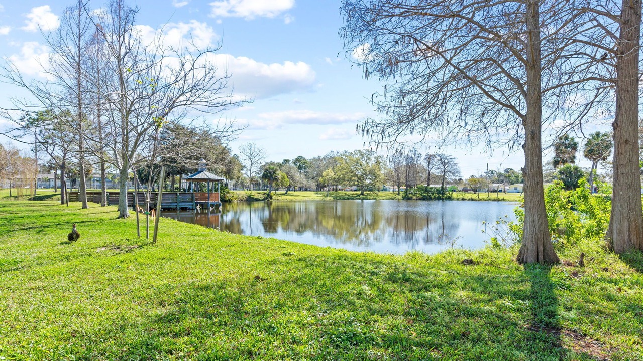 Photo of Outdoor in Greater Pinellas Point