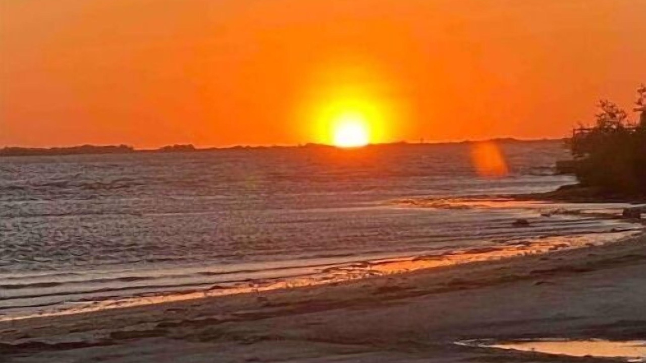 Photo of Others in Clearwater