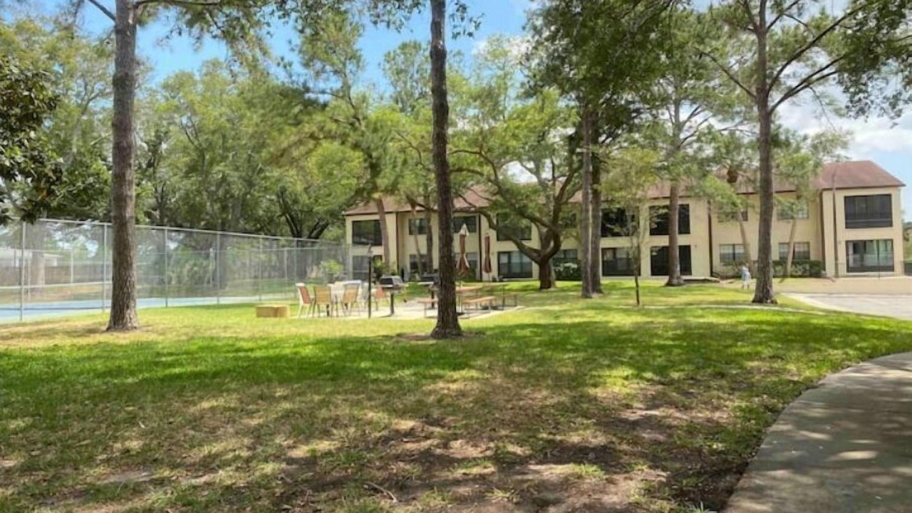 Photo of Outdoor in Clearwater