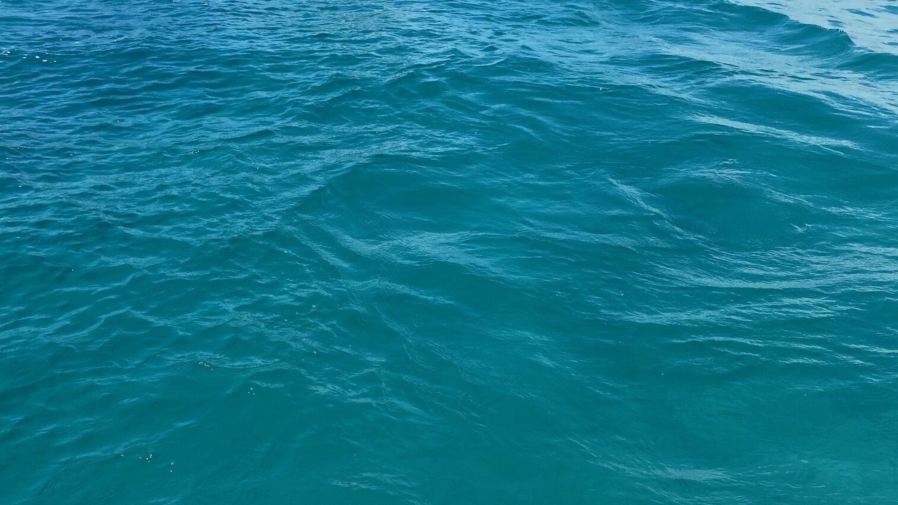 Photo of Others in North Palm Beach