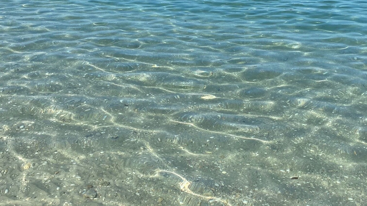 Photo of Others in North Palm Beach