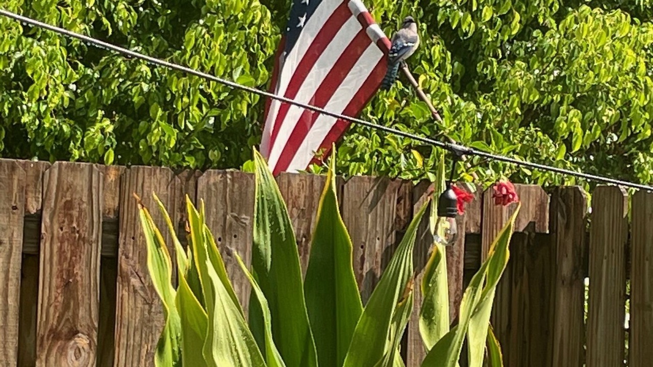 Photo of Outdoor in Biggar