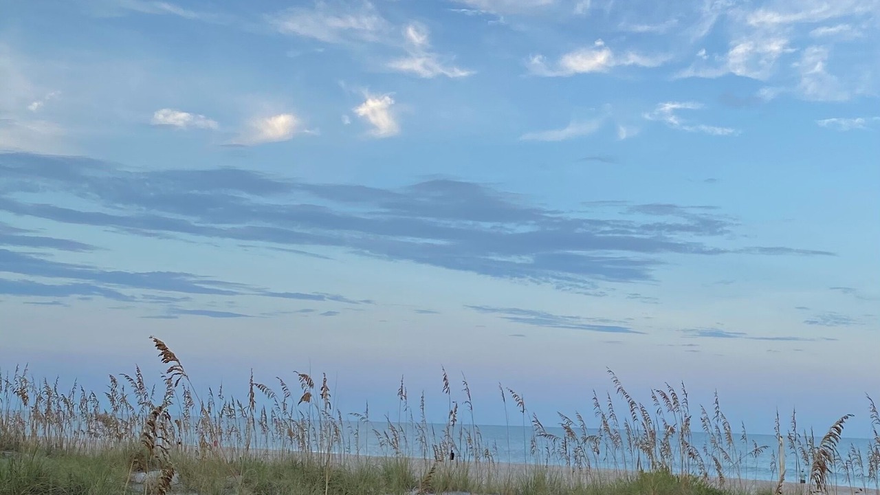 Photo of Others in Jacksonville Beach