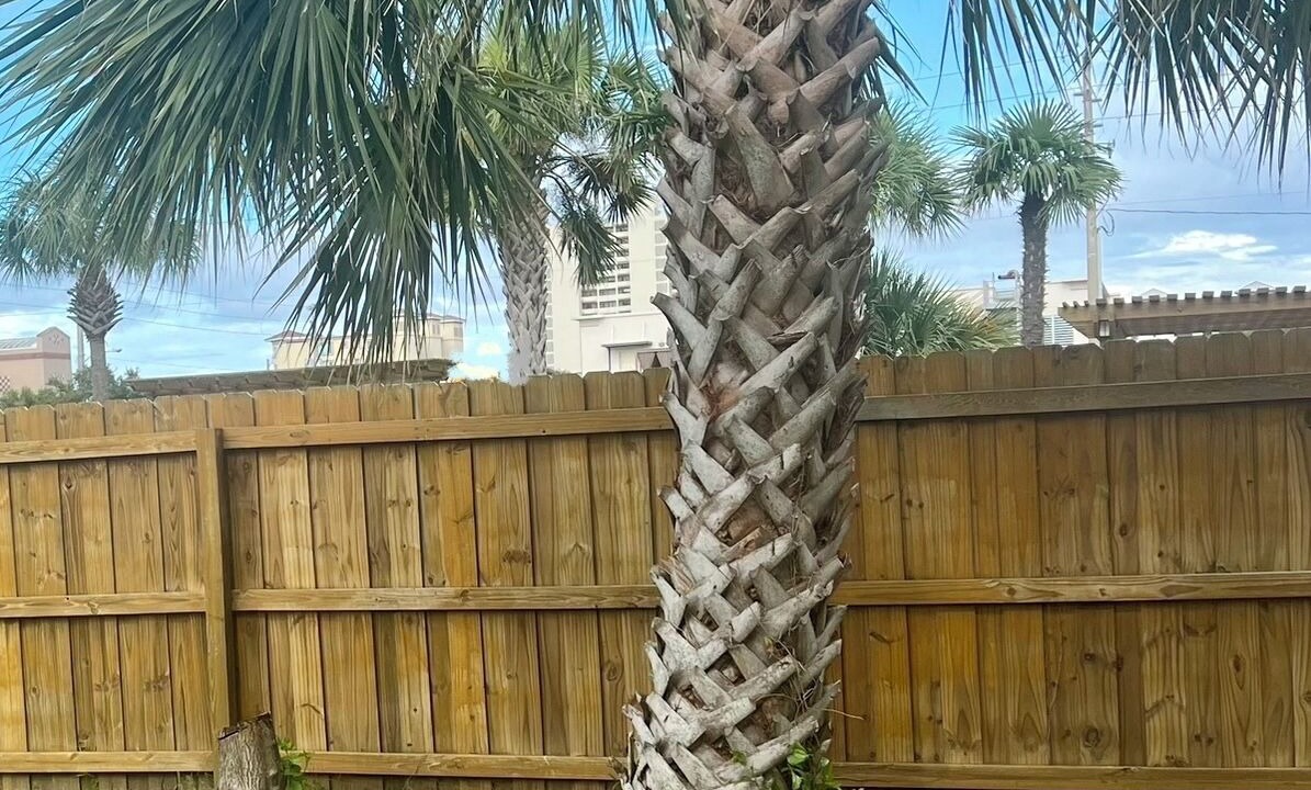 Photo of Others in Jacksonville Beach