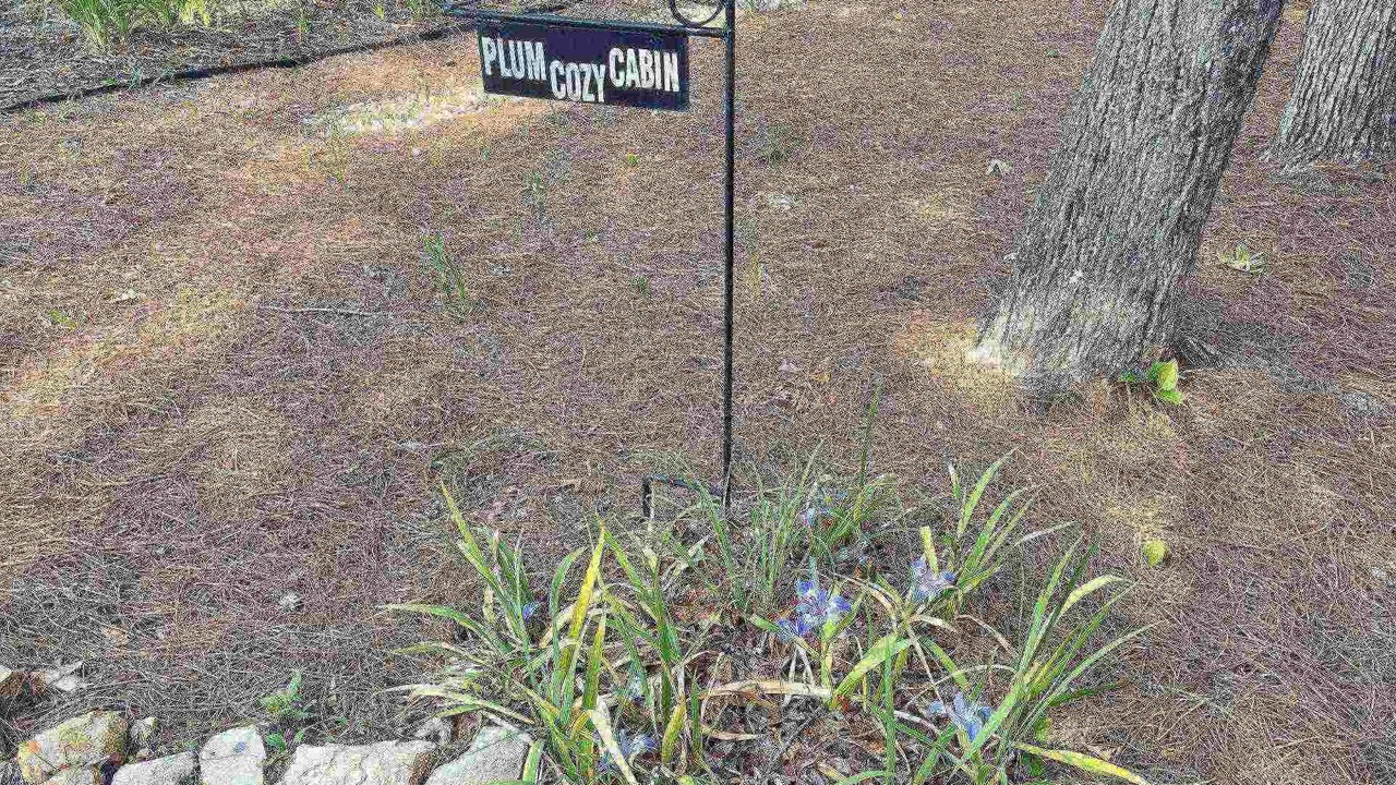Photo of Outdoor in Rising Fawn