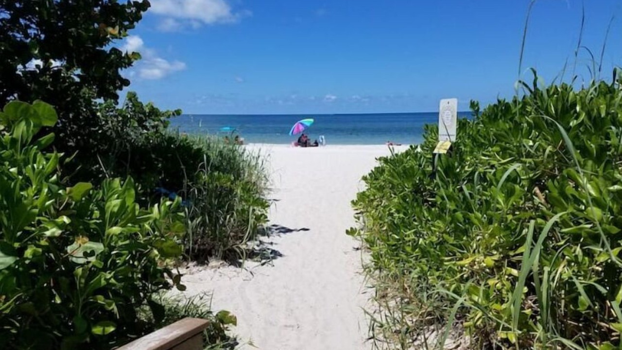Photo of Others in East Naples