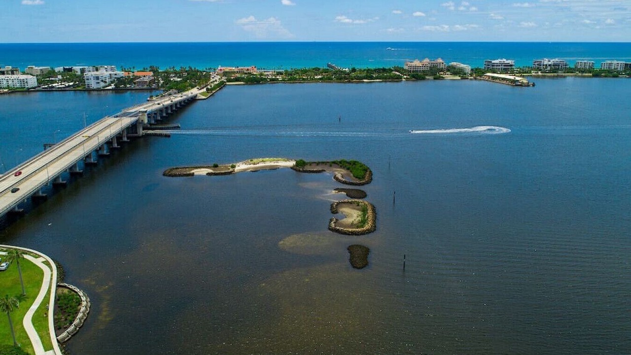 Photo of Others in Parrot Cove