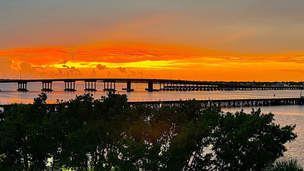 Photo of Others in Bradenton