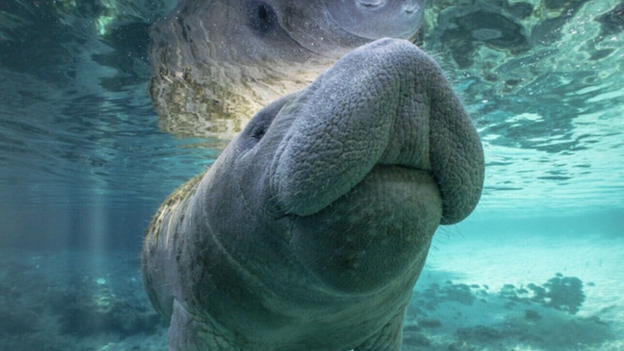 Photo of Others in Iona