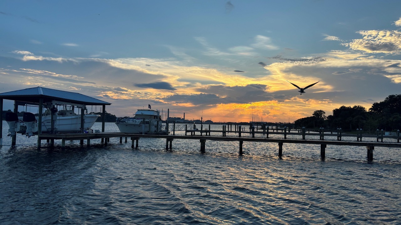 Photo of Others in Brown Island