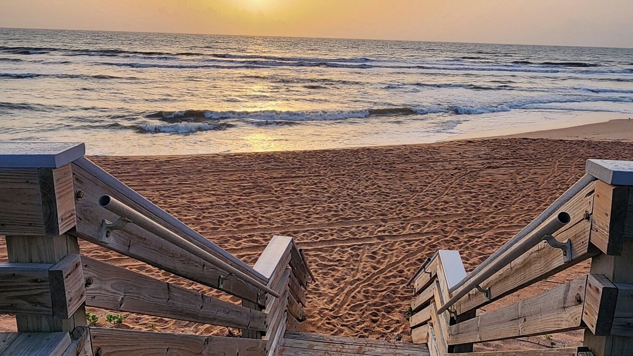 Photo of Others in Ormond-by-the-Sea