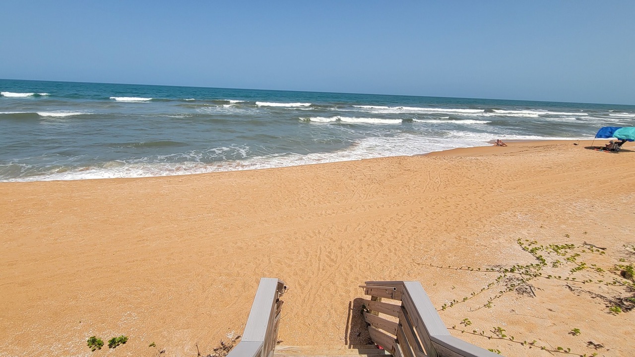 Photo of Others in Ormond-by-the-Sea