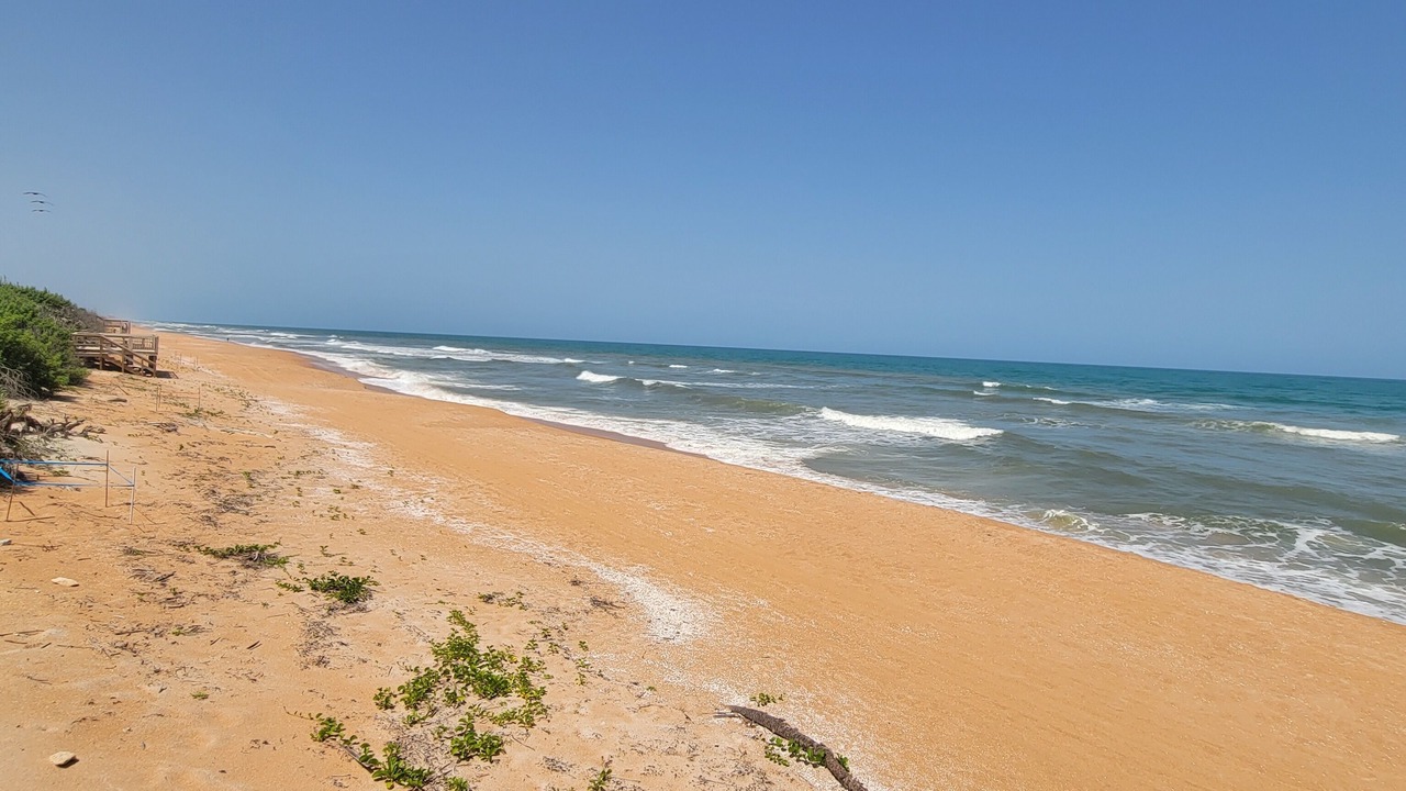 Photo of Others in Ormond-by-the-Sea