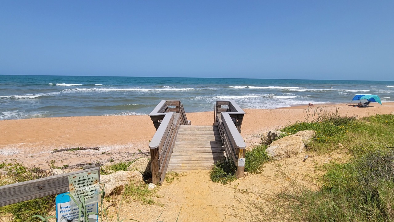 Photo of Others in Ormond-by-the-Sea
