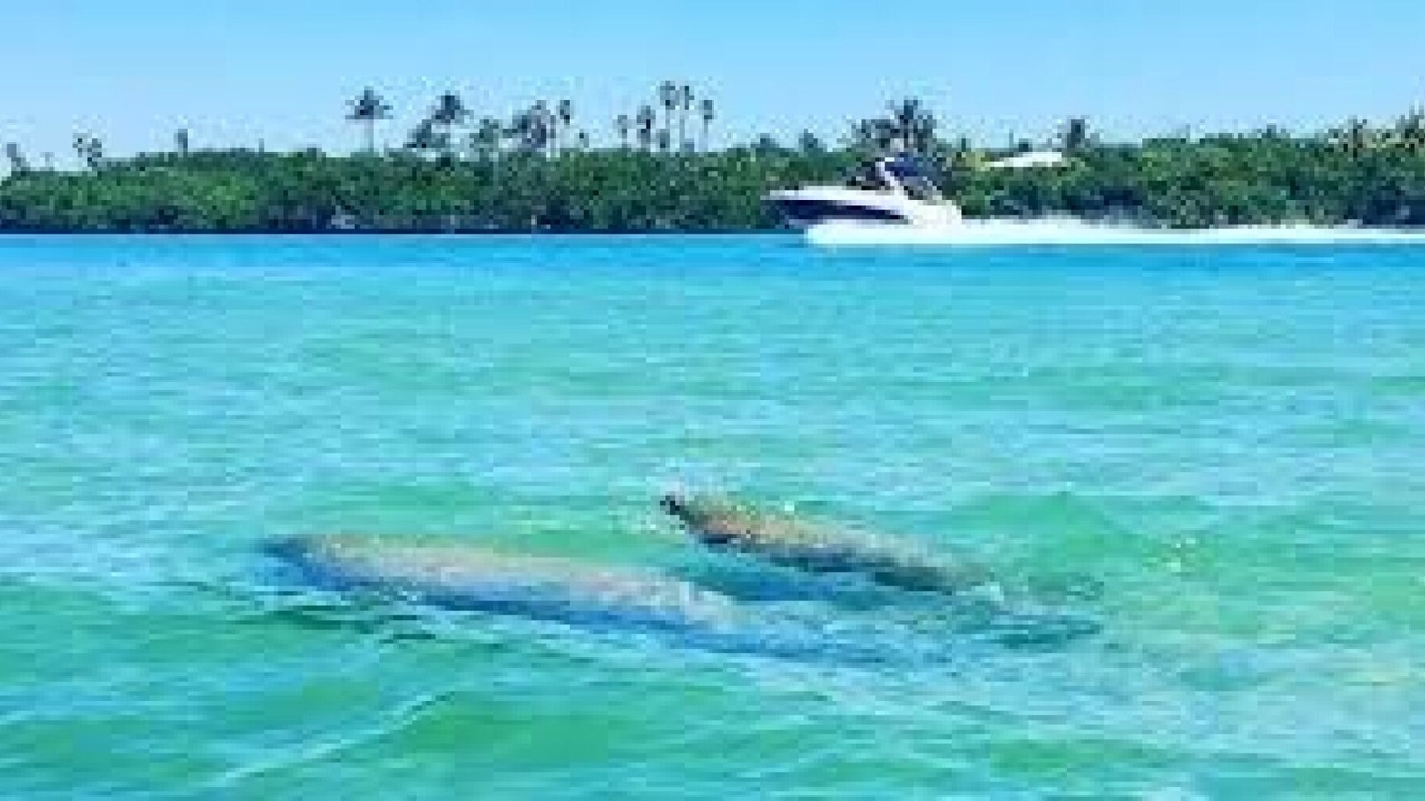 Photo of Others in Jupiter