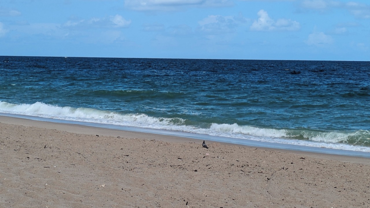 Photo of Others in Coral Ridge