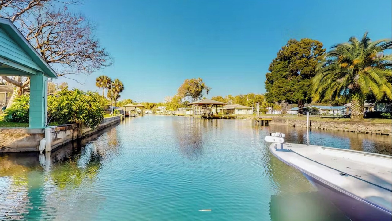 Photo of Others in Homosassa