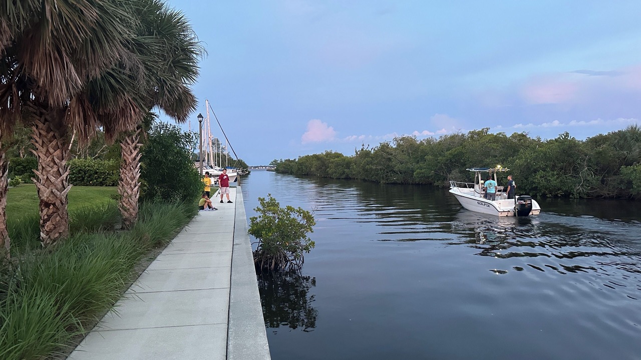 Photo of Others in Lochmoor Waterway Estates