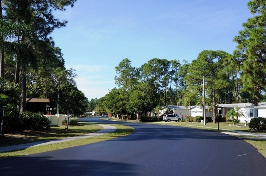 Photo of Outdoor in Jacarandas