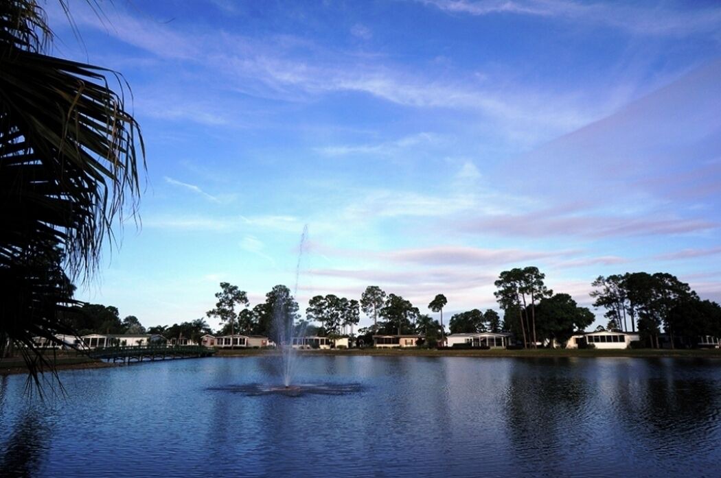 Photo of Outdoor in Jacarandas
