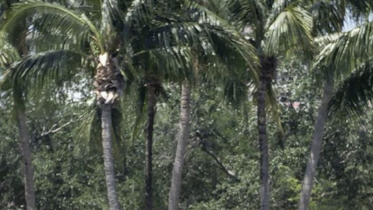 Photo of Others in Ives Estates