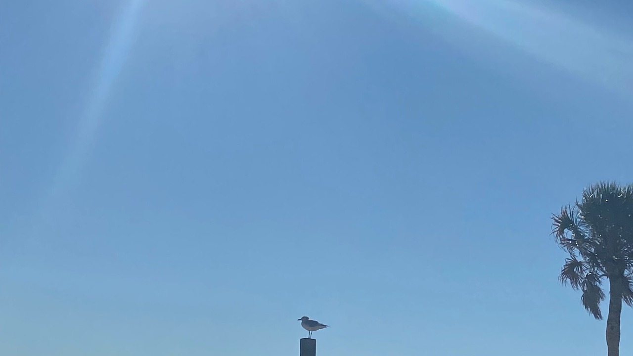 Photo of Others in Salem