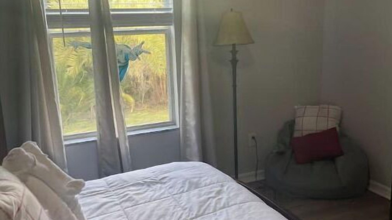 Photo of Bedroom in Lake Mary