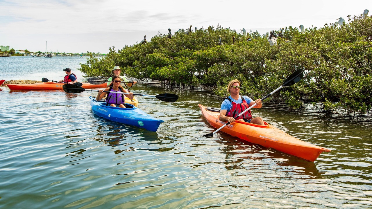 Photo of Others in Harbor Oaks Bay Shore