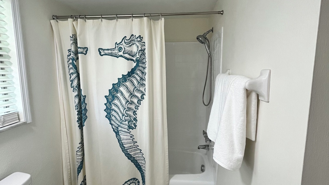 Photo of Bathroom in Dunedin