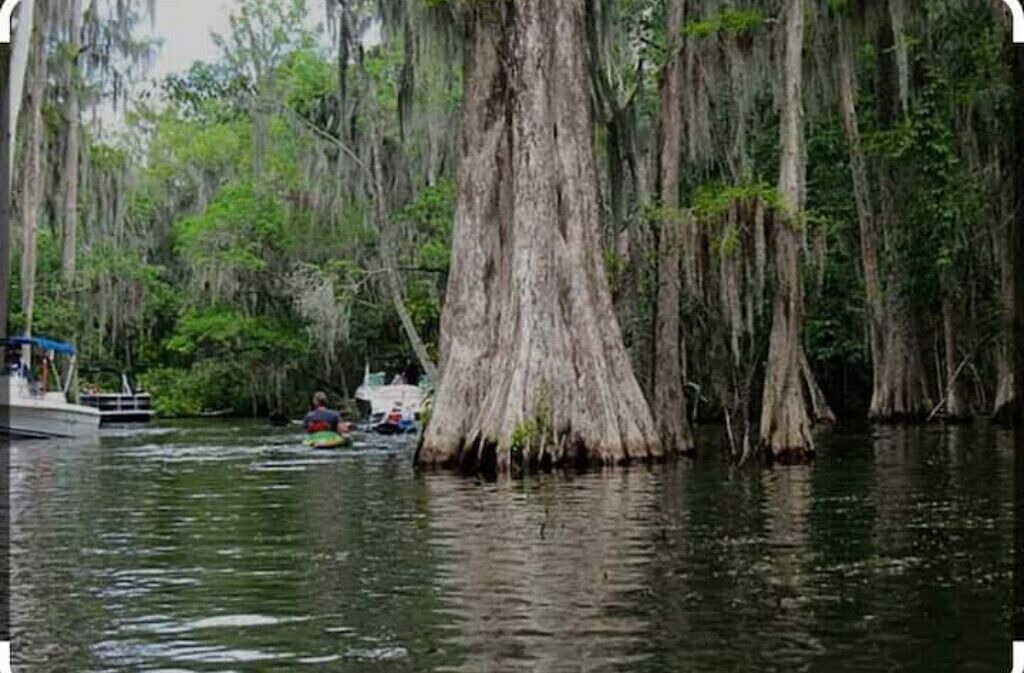Photo of Others in Tavares