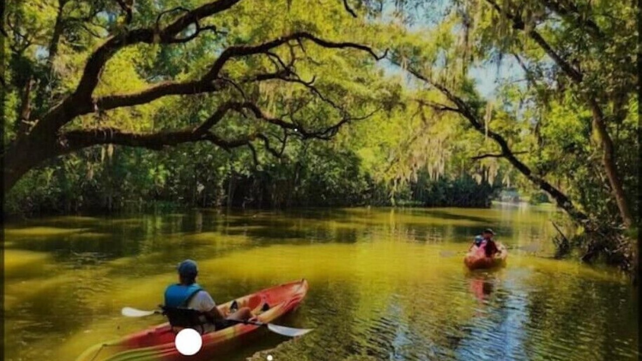 Photo of Outdoor in Tavares