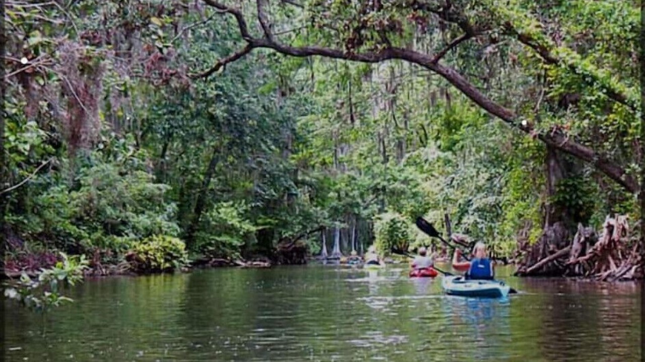 Photo of Outdoor in Tavares