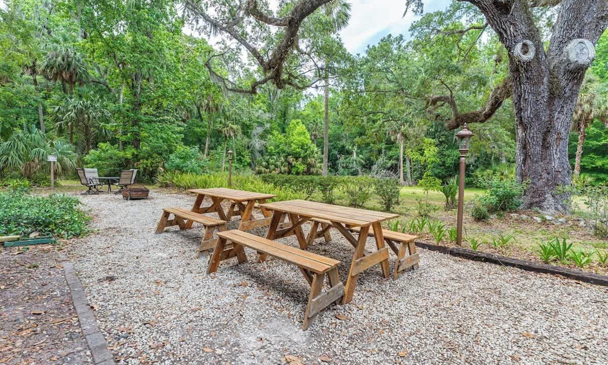 Photo of Outdoor in Chassahowitzka