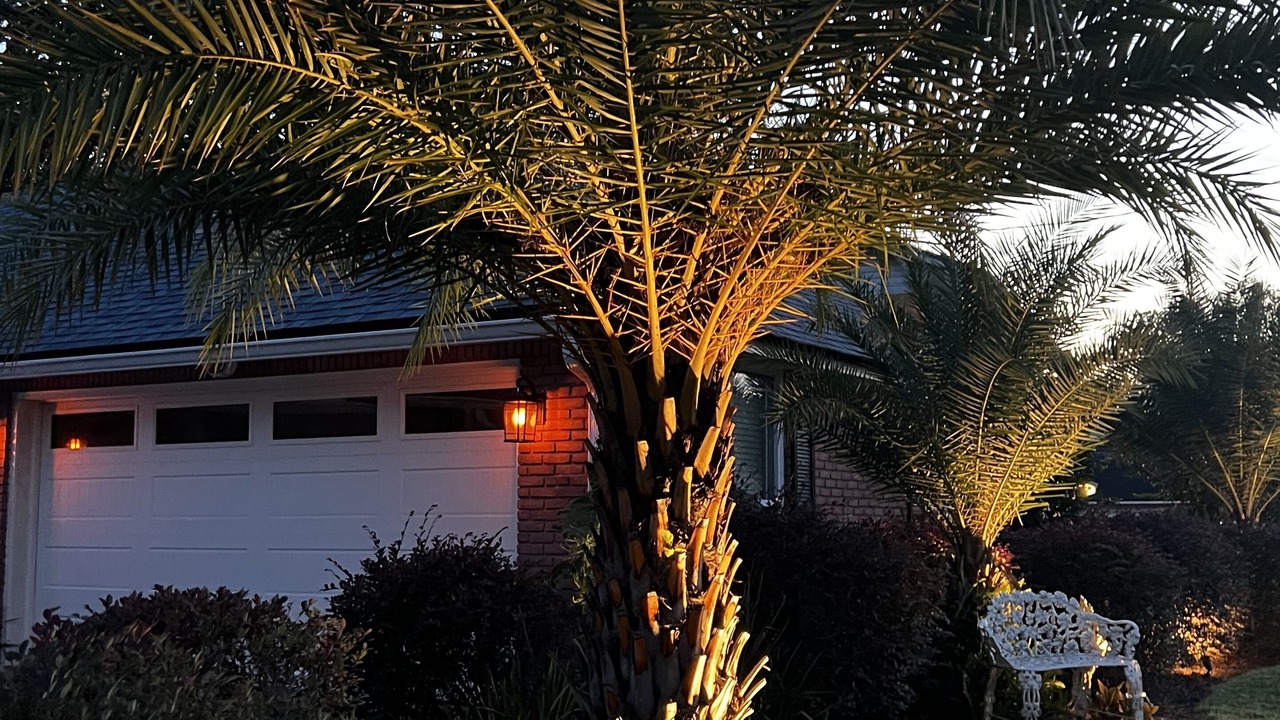Photo of Outdoor in Jacksonville