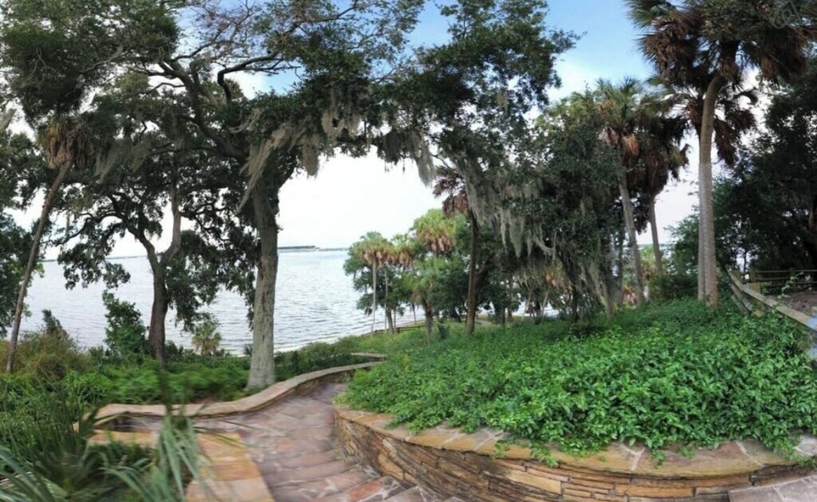 Photo of Outdoor in Safety Harbor